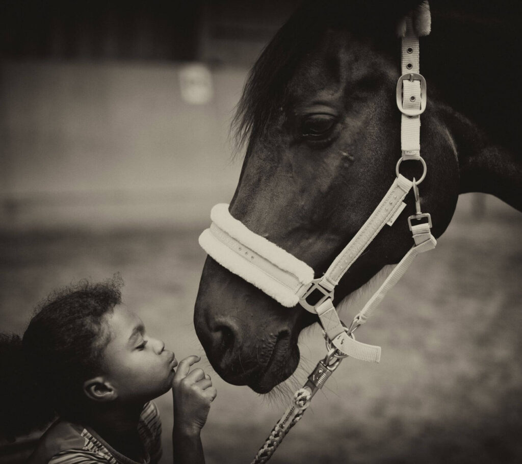 Fotograf Franz Paul Podek