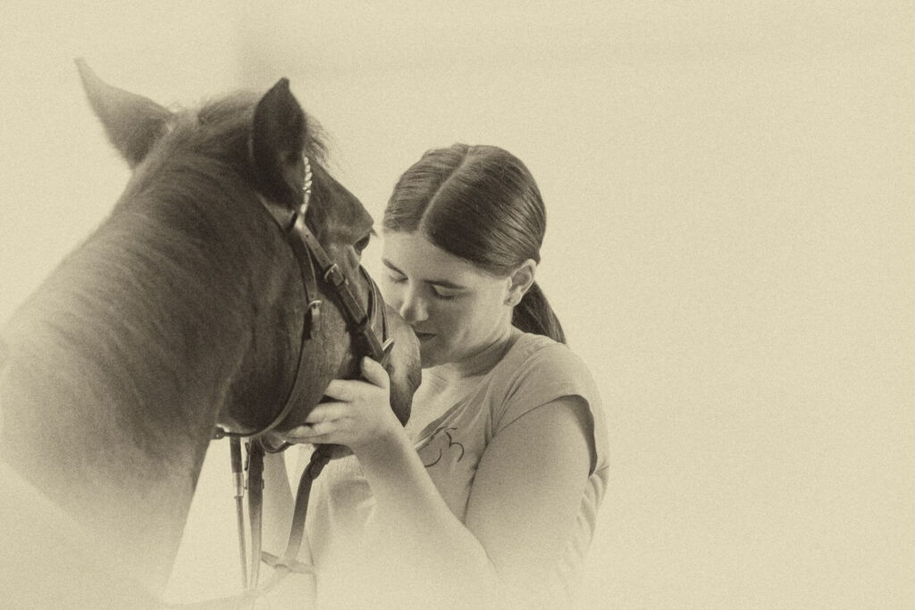 Pferdefoto von Franz Paul Podek