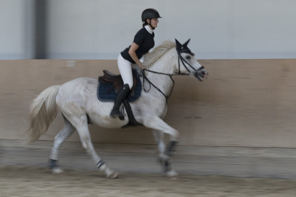 Franz Paul Podek Photography 2023 07 09 13 13 14 DSC2936