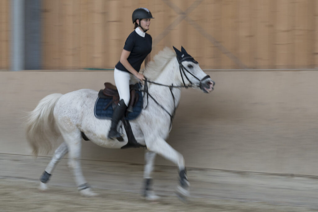 Franz Paul Podek Photography 2023 07 09 13 13 30 DSC2948