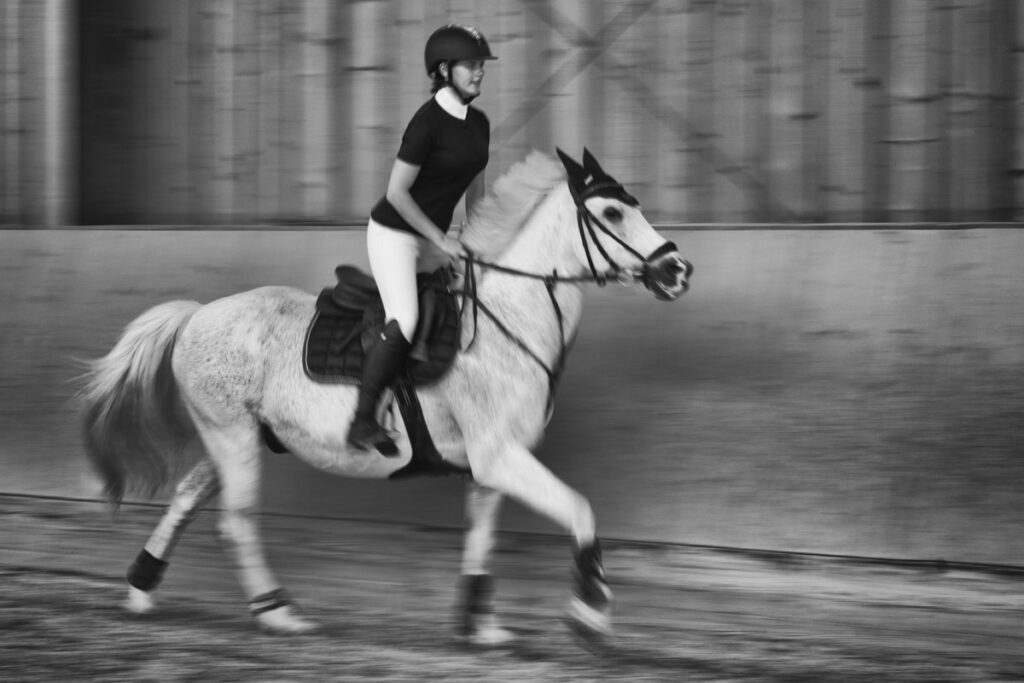 Franz Paul Podek Photography 2023 07 09 13 13 30 DSC2948 Bearbeitet