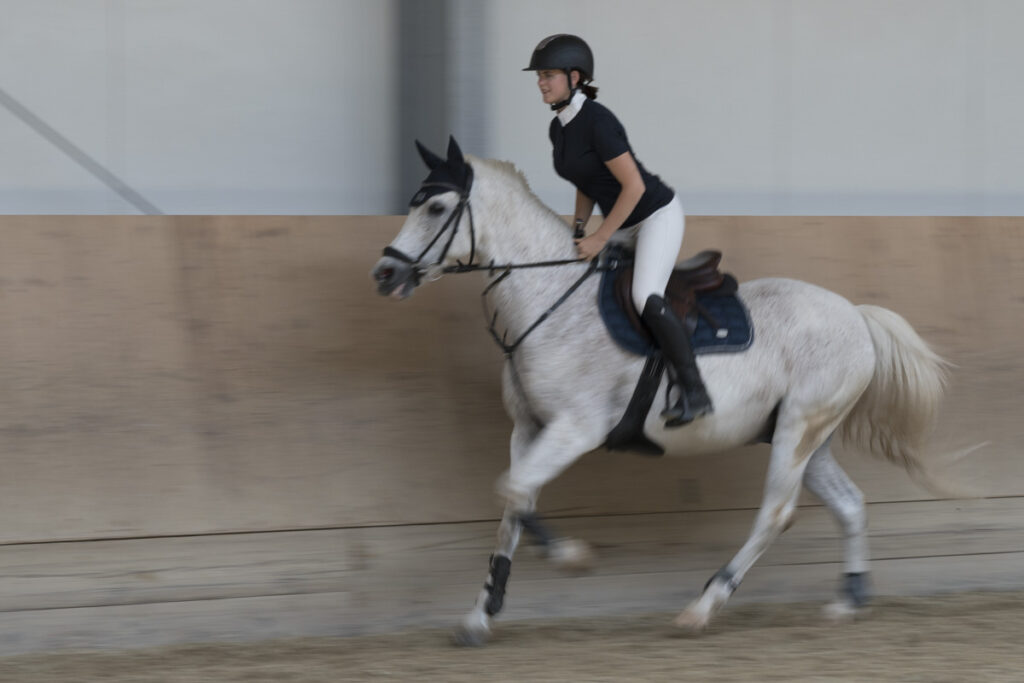 Franz Paul Podek Photography 2023 07 09 13 13 54 DSC2965