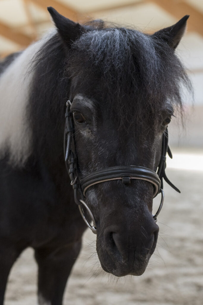 Franz Paul Podek Photography 2023 07 09 13 36 39 DSC3029