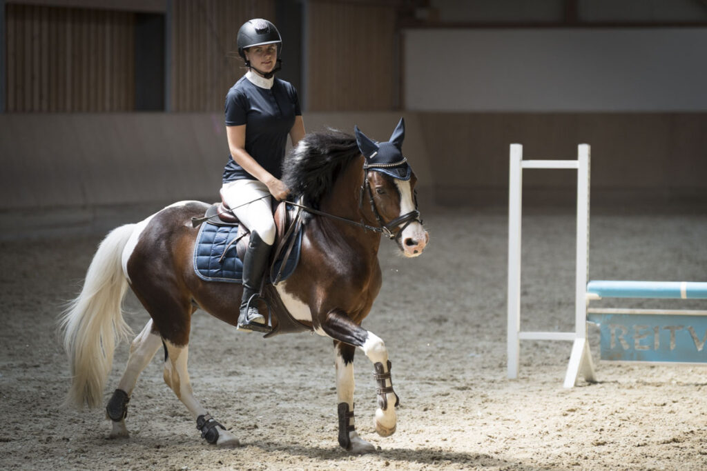 Franz Paul Podek Photography 2023 07 09 14 23 02 DSC3095