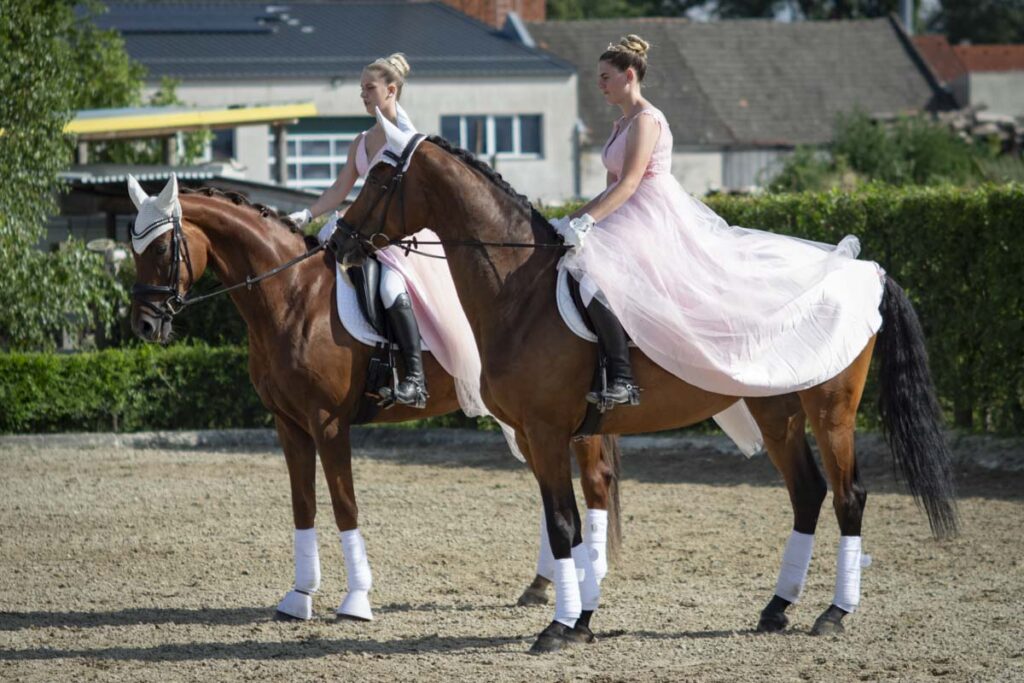 Franz Paul Podek Photography 2025 07 19 16 46 58 L1060581