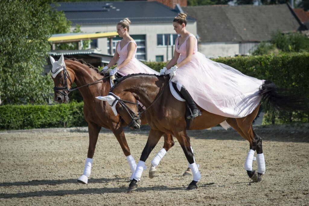 Franz Paul Podek Photography 2025 07 19 16 47 00 L1060584