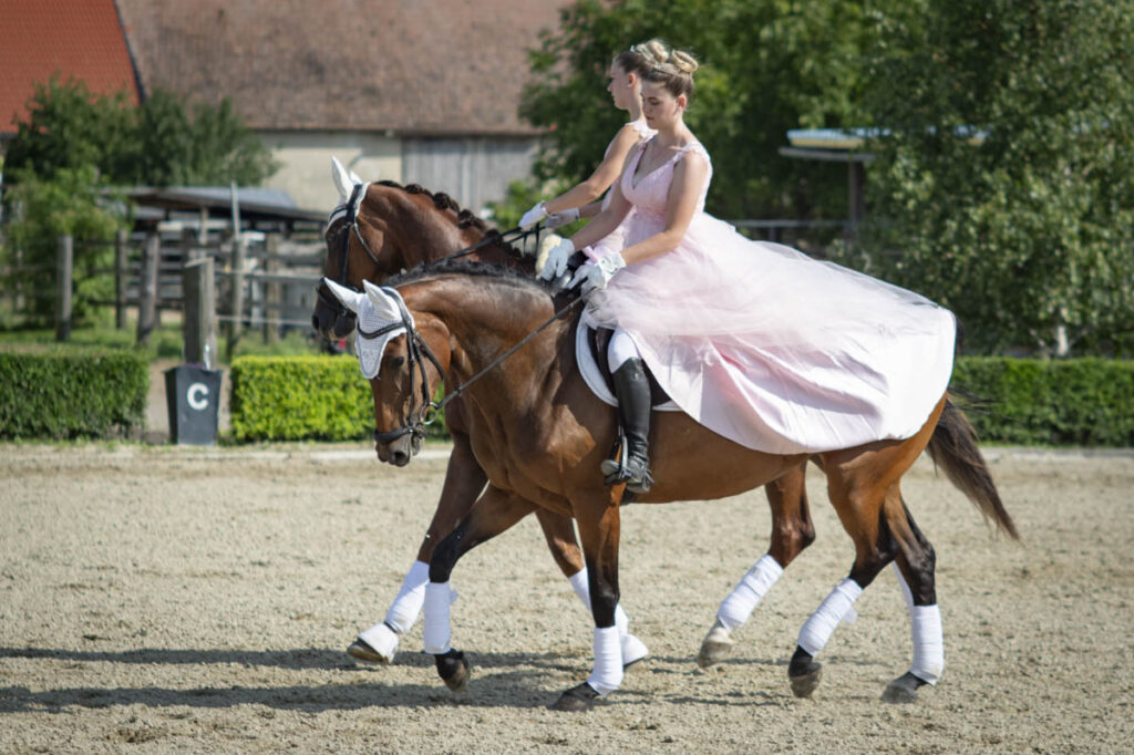 Franz Paul Podek Photography 2025 07 19 16 47 01 L1060586