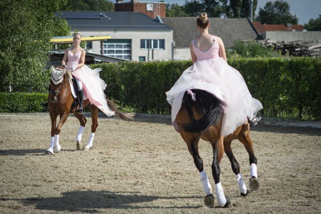 Franz Paul Podek Photography 2025 07 19 16 47 26 L1060591