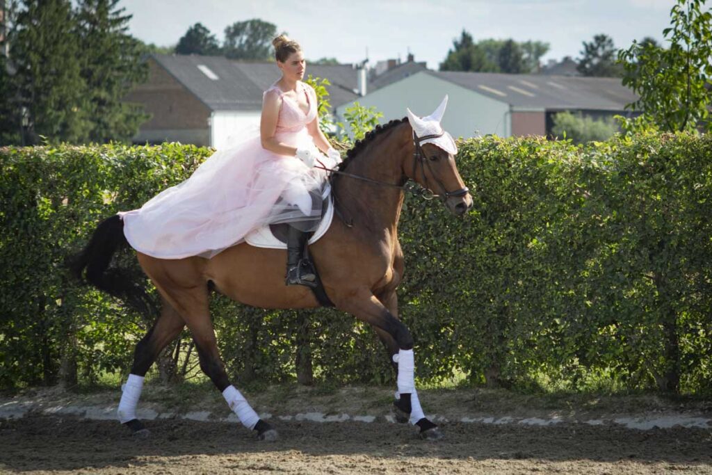 Franz Paul Podek Photography 2025 07 19 16 48 31 L1060614