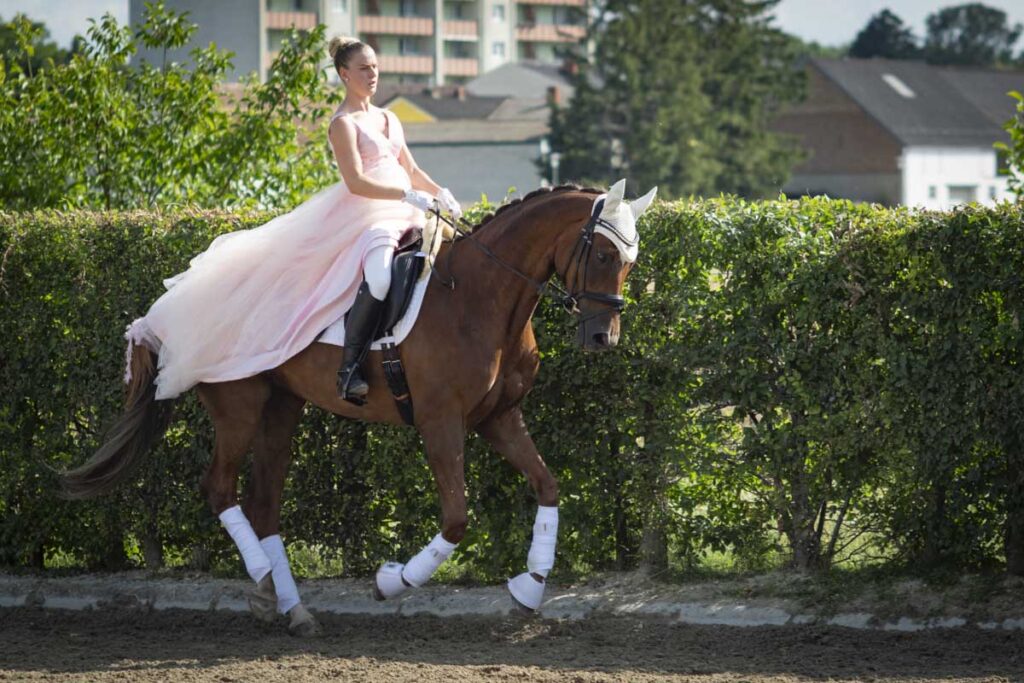 Franz Paul Podek Photography 2025 07 19 16 48 41 L1060619