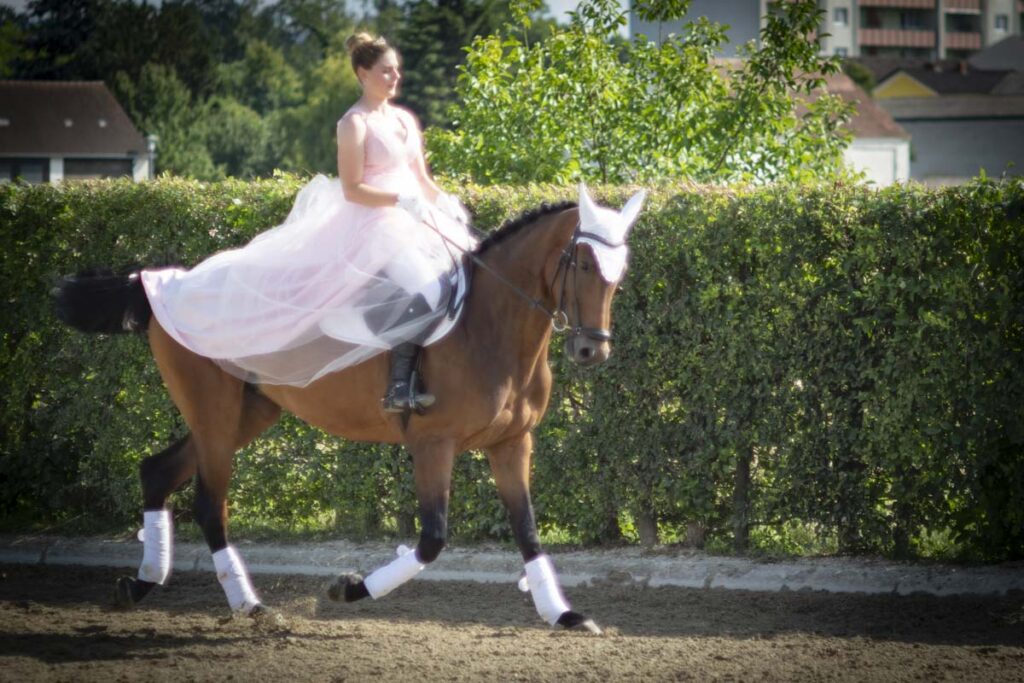 Franz Paul Podek Photography 2025 07 19 16 49 03 L1060629