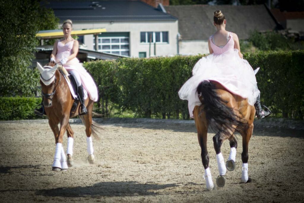 Franz Paul Podek Photography 2025 07 19 16 49 17 L1060640