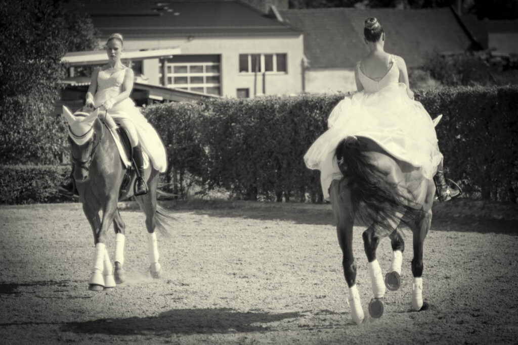 Franz Paul Podek Photography 2025 07 19 16 49 17 L1060640 Bearbeitet