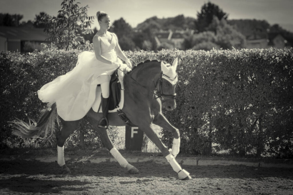 Franz Paul Podek Photography 2025 07 19 16 50 27 L1060657 Bearbeitet