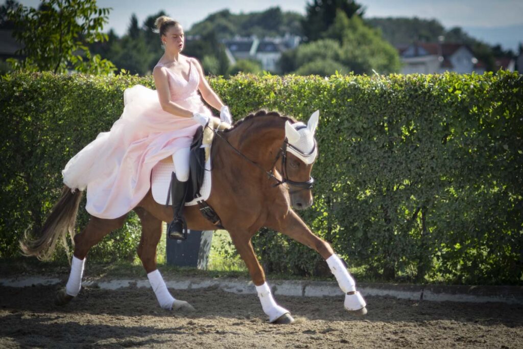 Franz Paul Podek Photography 2025 07 19 16 50 27 L1060658