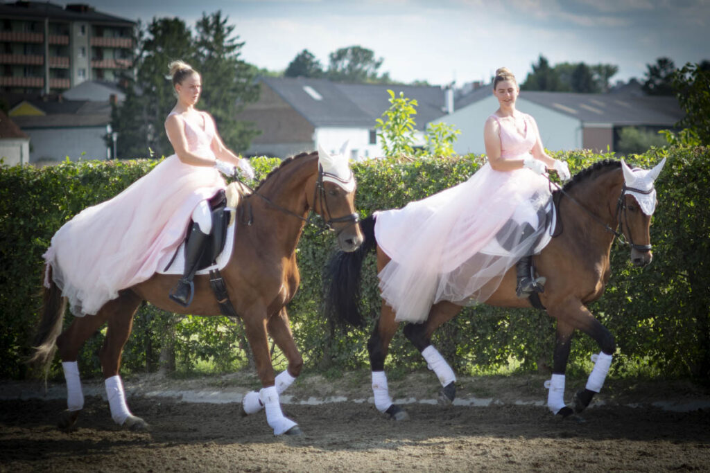 Franz Paul Podek Photography 2025 07 19 16 50 43 L1060667