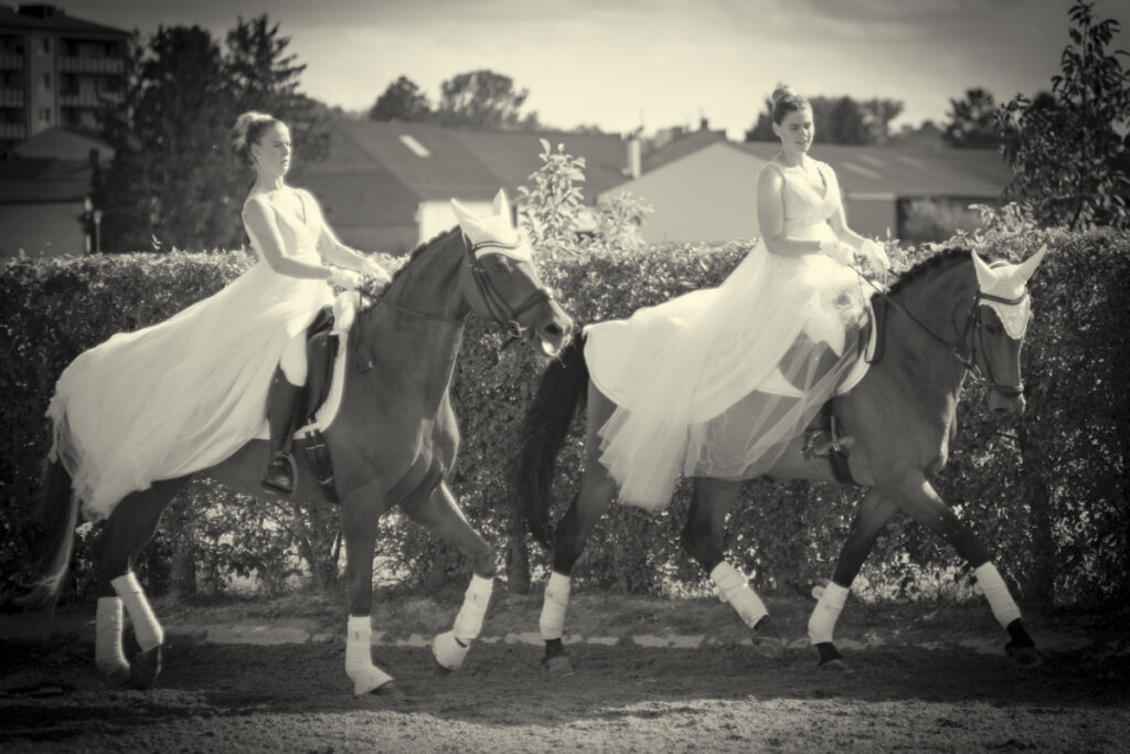 Franz Paul Podek Photography 2025 07 19 16 50 43 L1060668 Bearbeitet