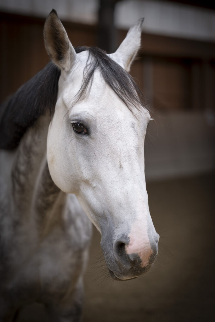 Franz Paul Podek Photography 2025 09 13 11 09 33 L1010499