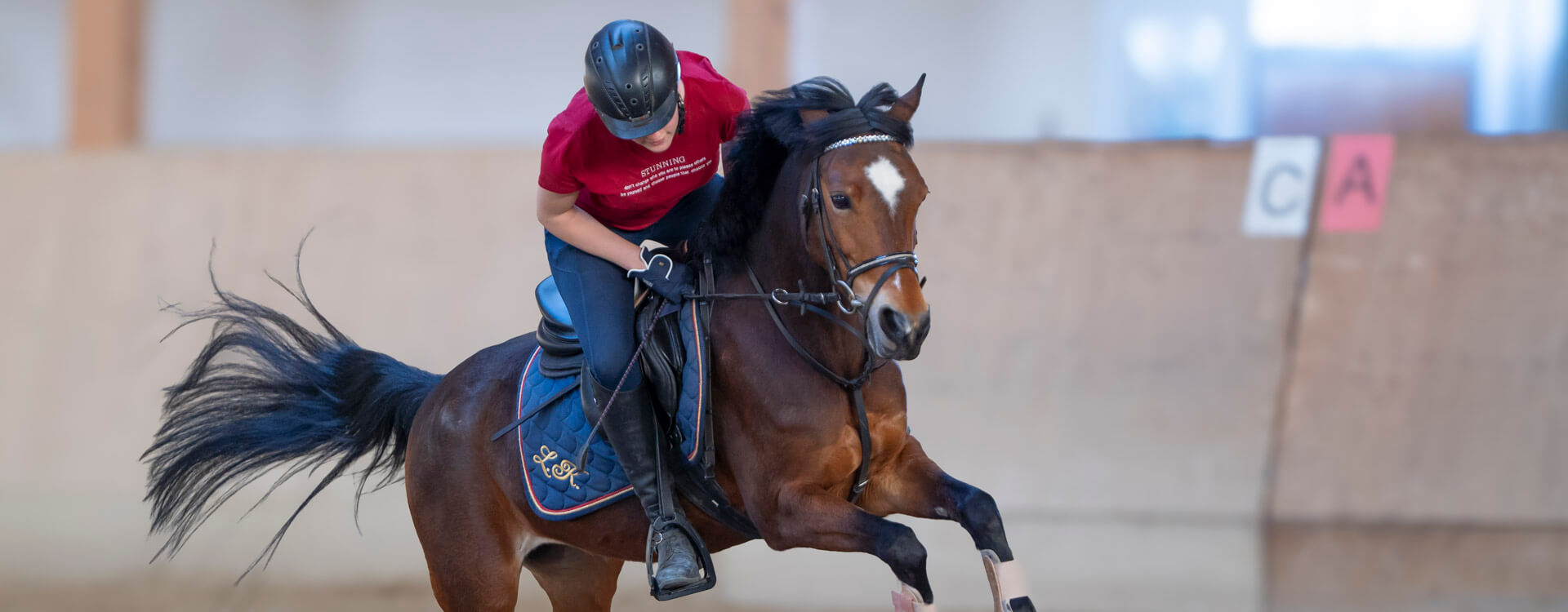 Pferdefotografie 38 fotograf fuer pferde1