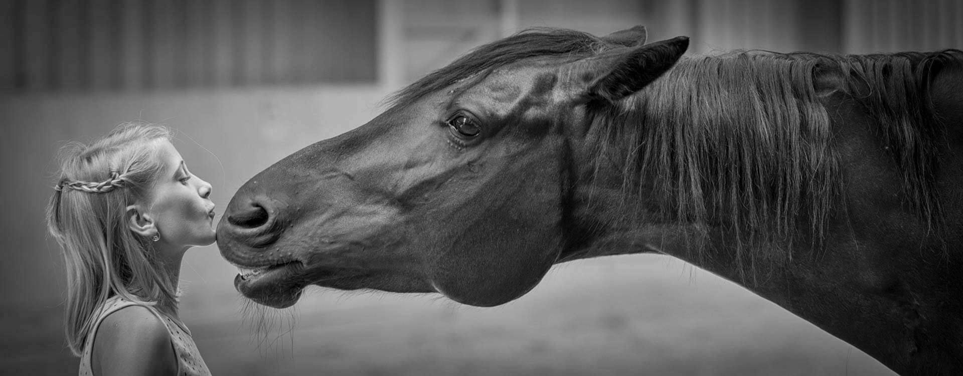 Pferdefotografie 41 fotograf fuer pferde4