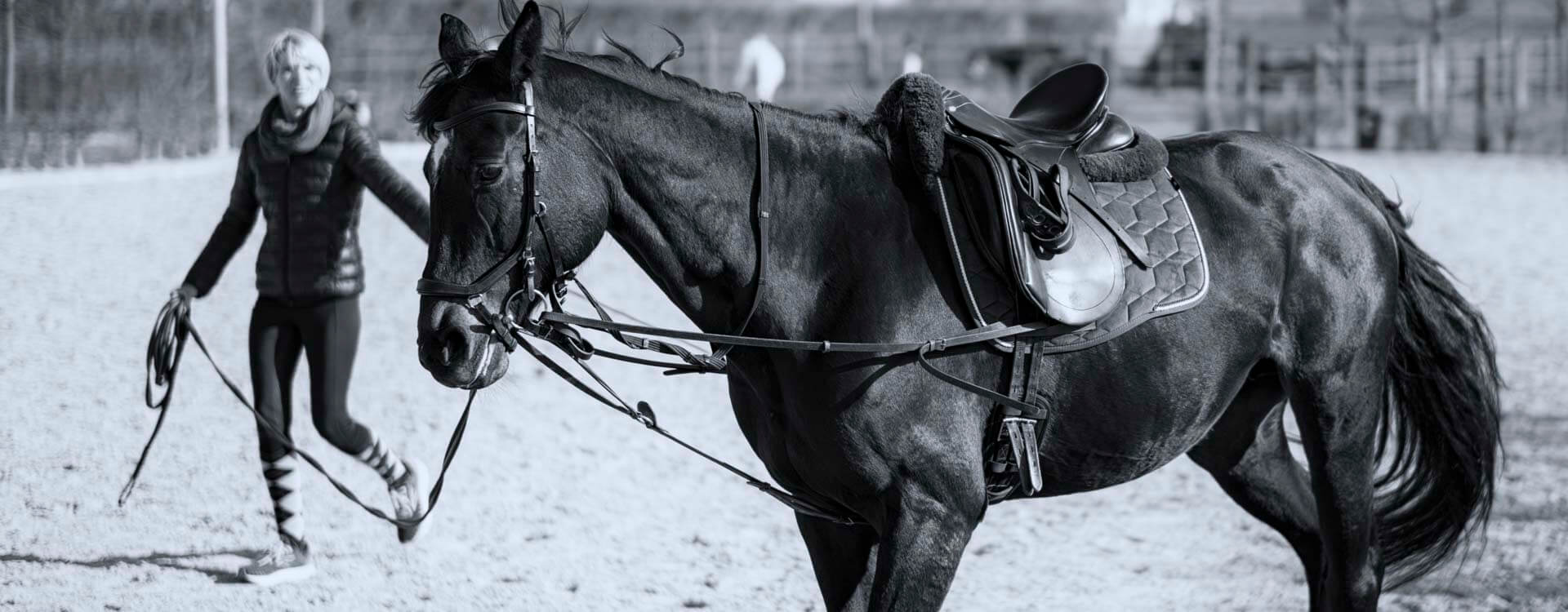 Pferdefotografie 44 fotograf fuer pferde7