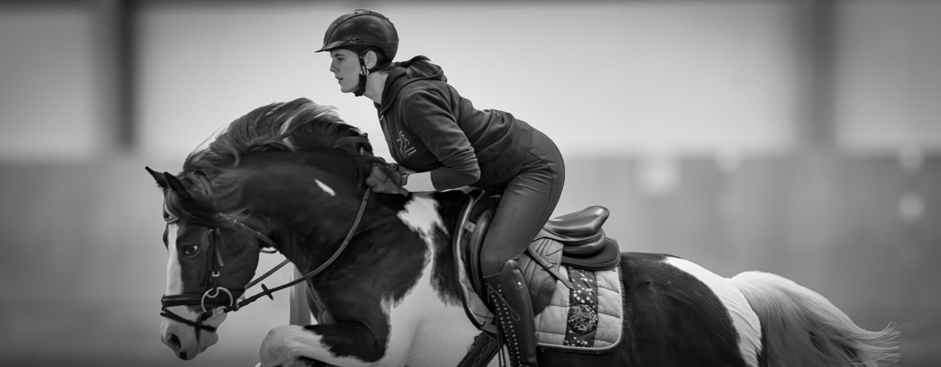 Pferdefotografie 45 fotograf fuer pferde8